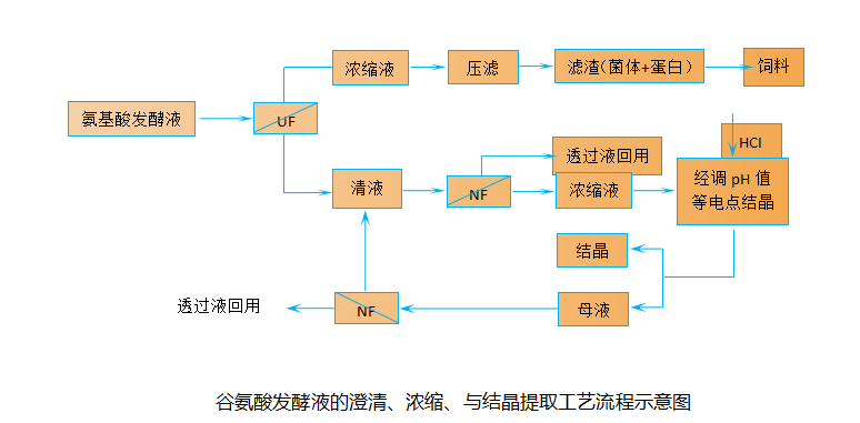 圖片10