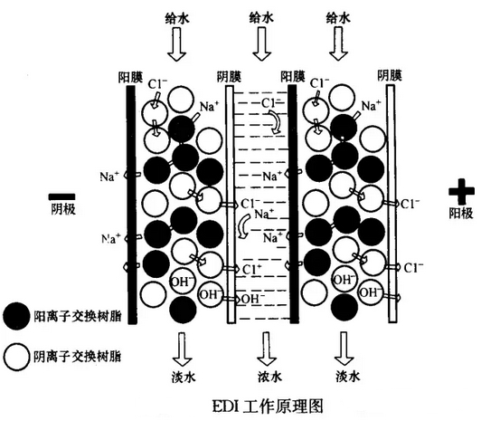 圖片2